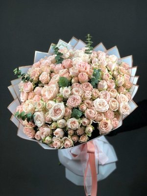 Кустовая пионовидная роза Бомбастик, 2500 - 4000 грн