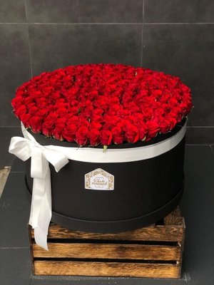 Коробка із 251 троянди